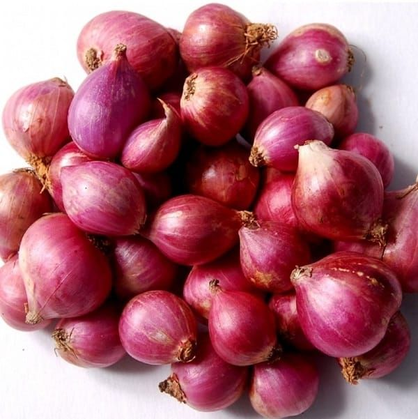 Purple onions