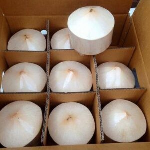 Coconut