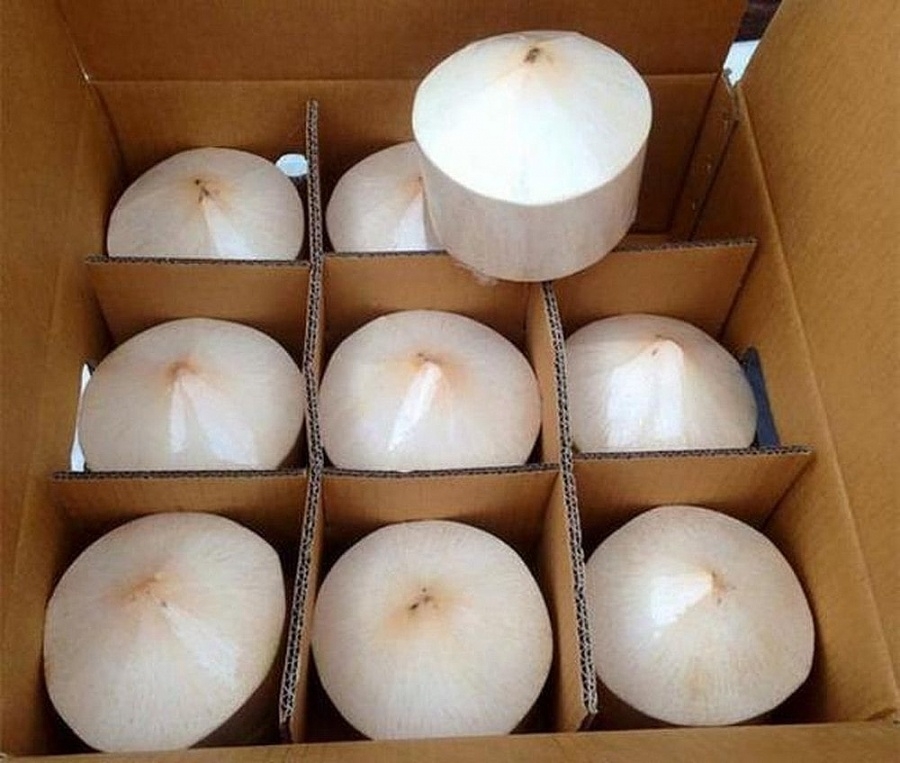 Coconut