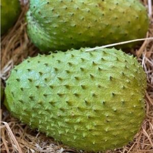 Soursop