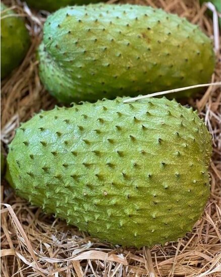 Soursop