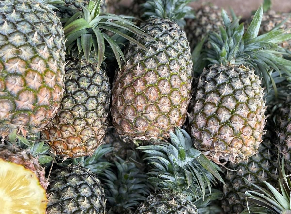 Pineapple