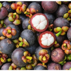 mangosteen