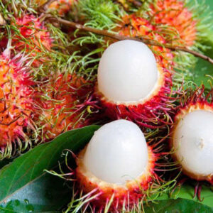 Rambutan