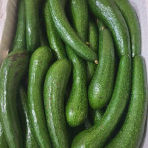 Avocado