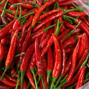 Chili pepper