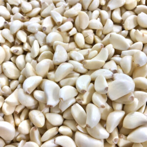 Garlic