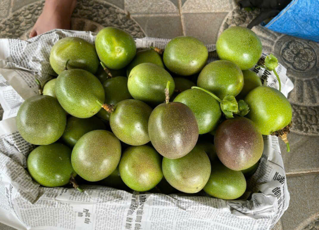 Passion fruit