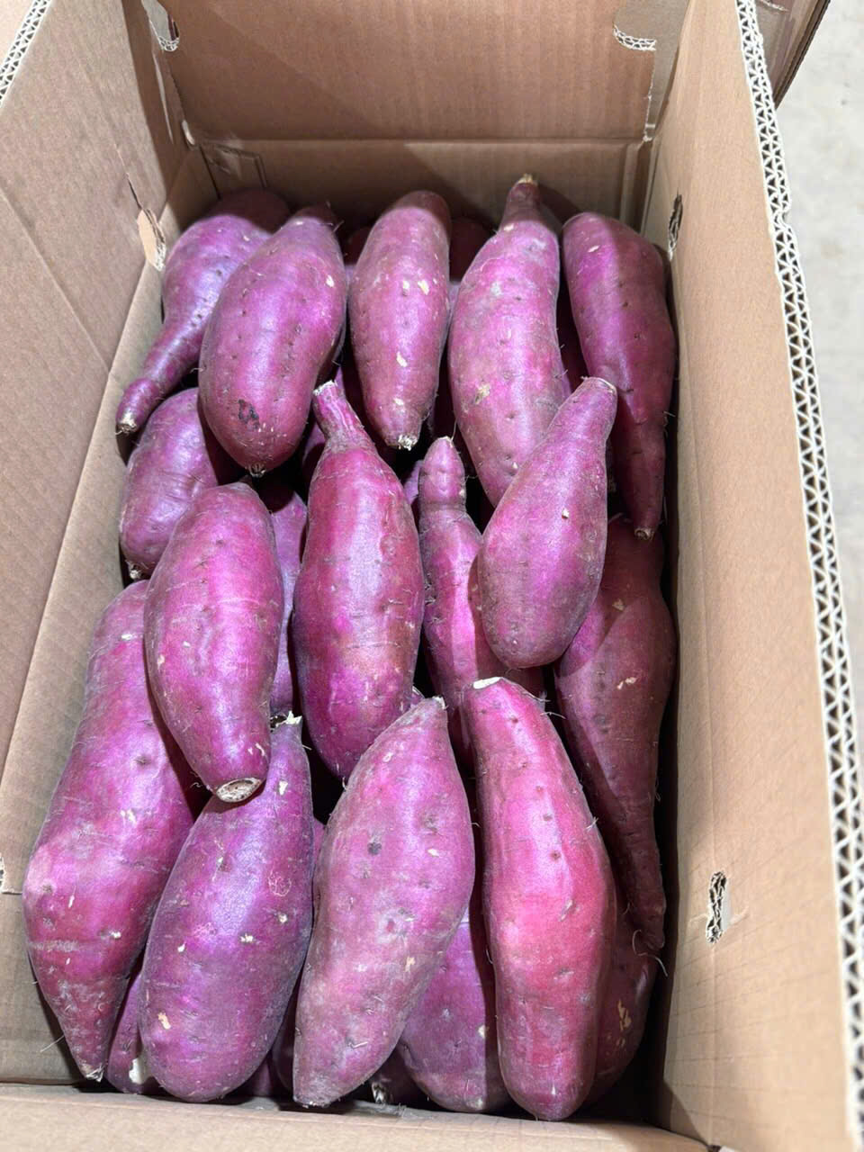 Sweet potato