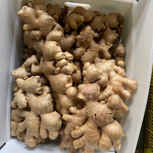 Forest tubers