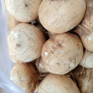 Cassava root